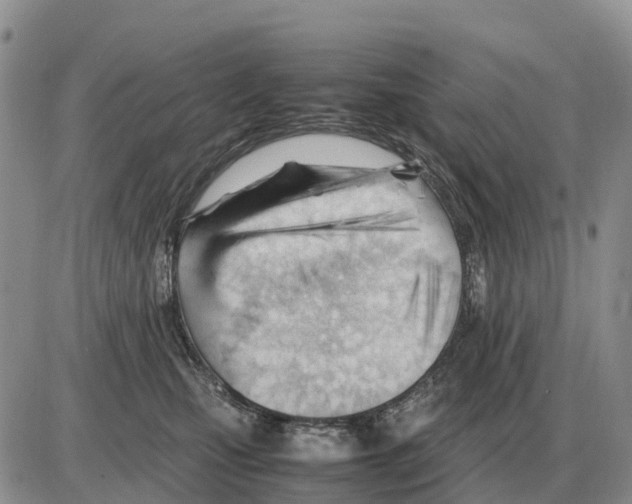 X0000086060471200704202105