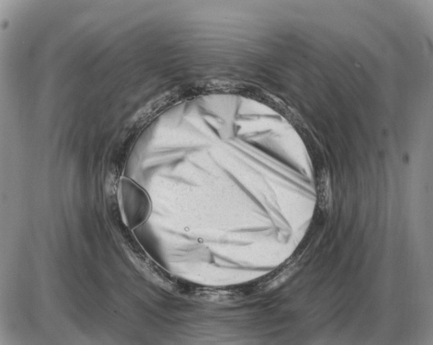 X0000086060472200704202105