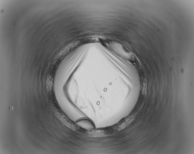 X0000086060476200704202105