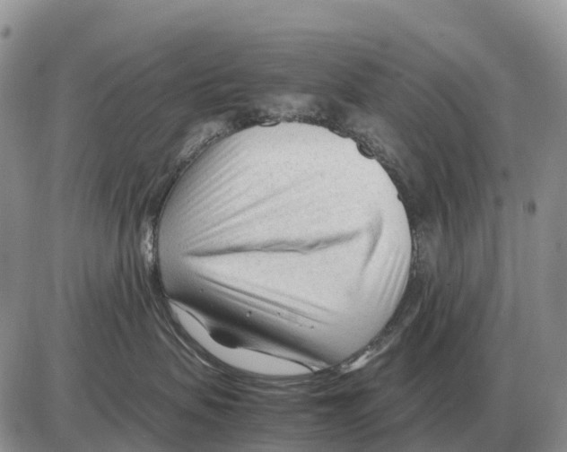 X0000086060479200704202105