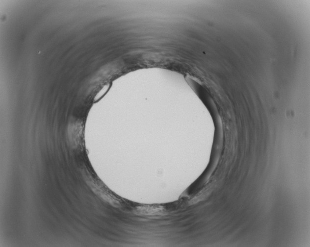 X0000086060480200704202105