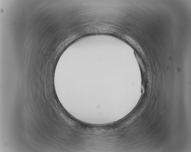 X0000086060481200704202105