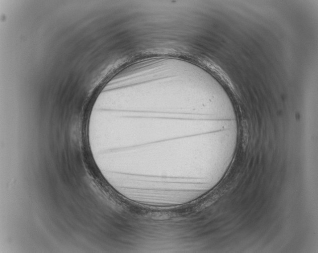 X0000086060482200704202105