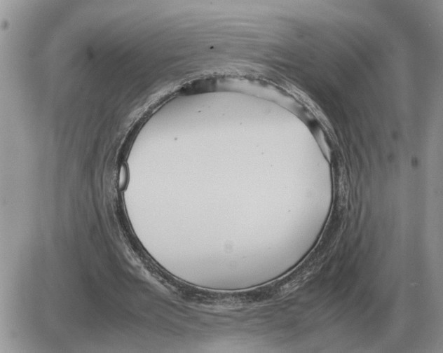 X0000086060485200704202104