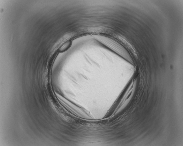 X0000086060486200704202104