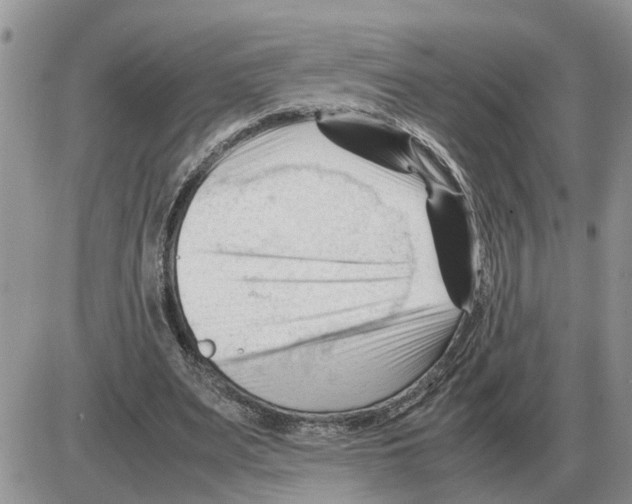 X0000086060487200704202104