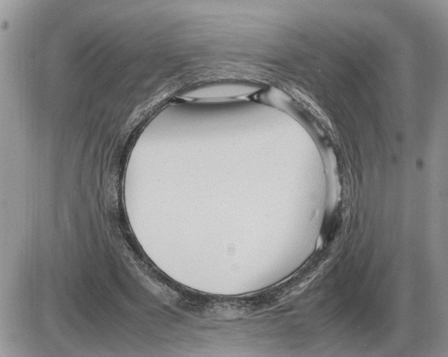 X0000086060489200704202104