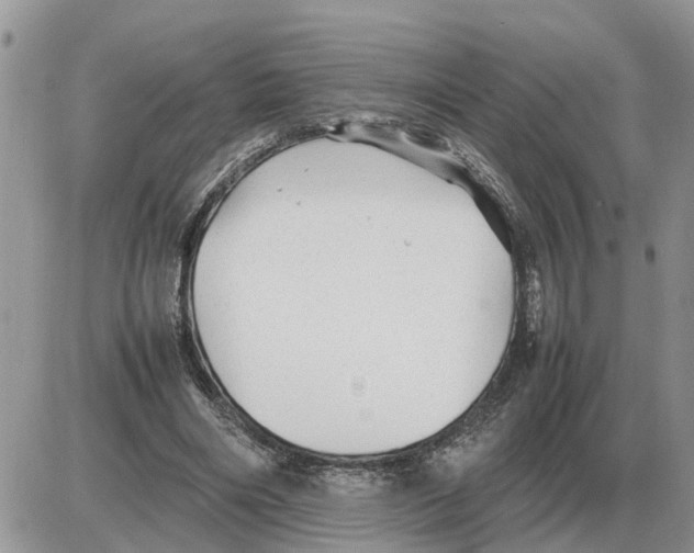 X0000086060490200704202104