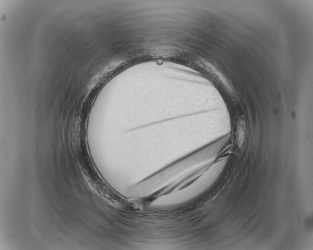 X0000086060492200704202104