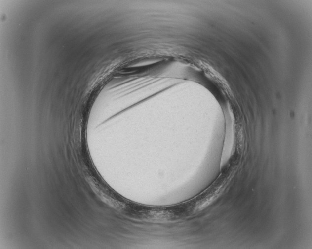 X0000086060493200704202104