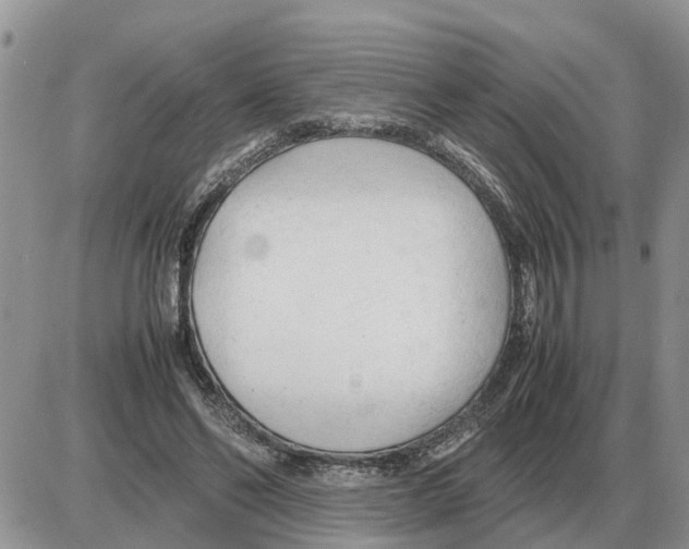 X0000086060494200704202104