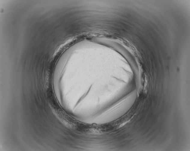 X0000086060496200704202104