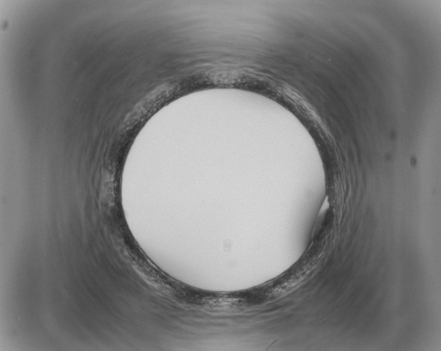 X0000086060497200704202104