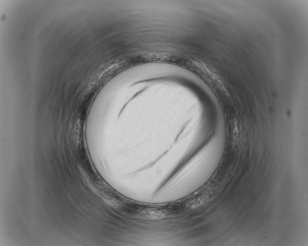 X0000086060498200704202104