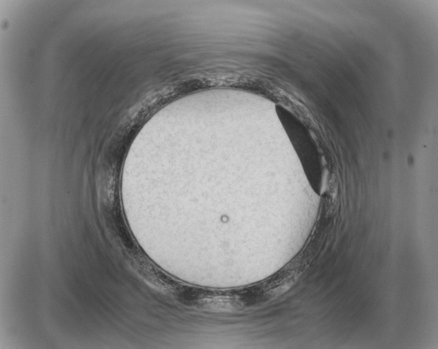 X0000086060499200704202104