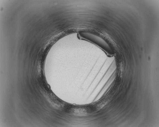 X0000086060500200704202104