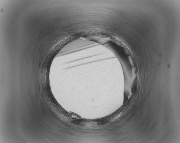 X0000086060501200704202104