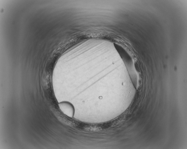 X0000086060503200704202104