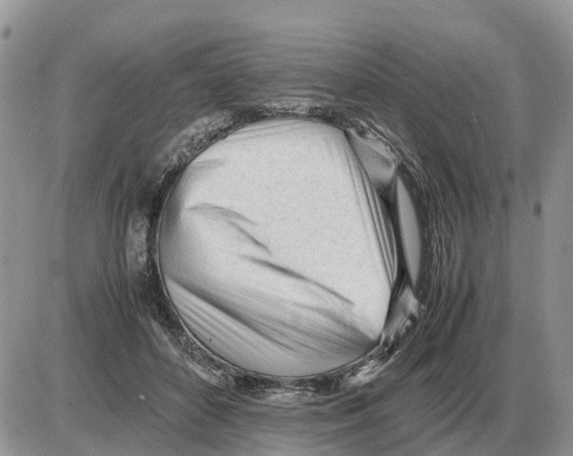 X0000086060504200704202104