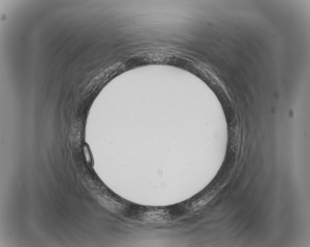 X0000086060505200704202104