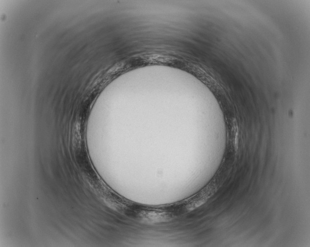 X0000086060506200704202104