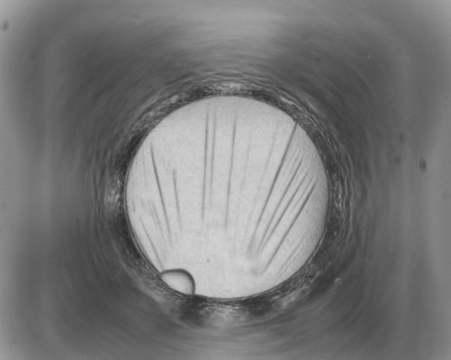 X0000086060507200704202104