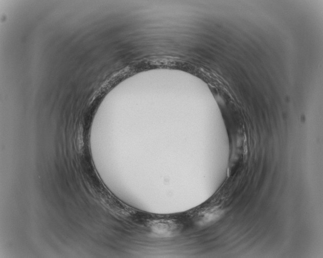 X0000086060508200704202104