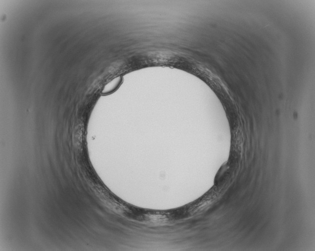 X0000086060509200704202104