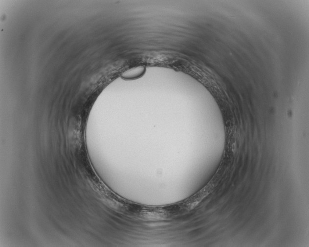 X0000086060510200704202104