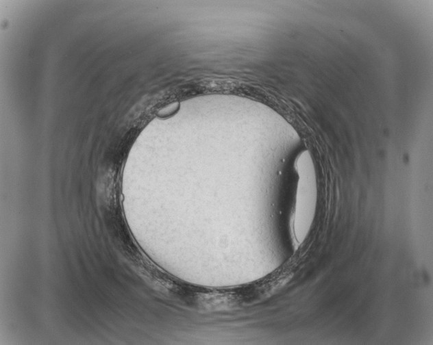 X0000086060511200704202104