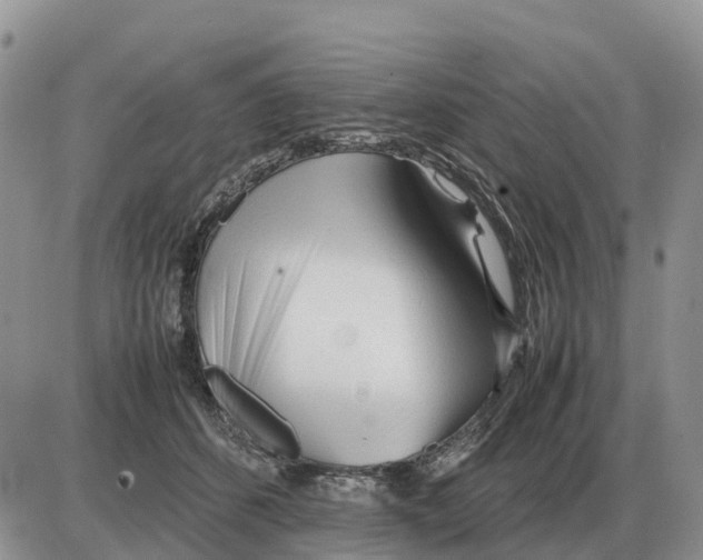 X0000086060512200704202104