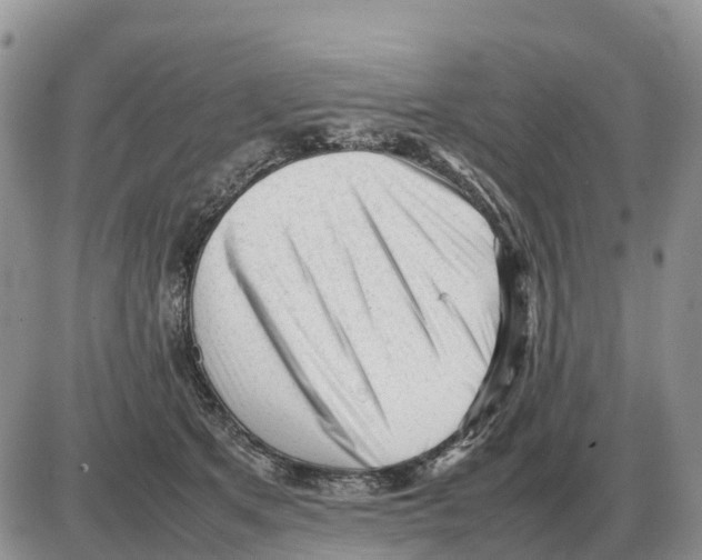 X0000086060513200704202104