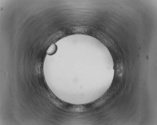 X0000086060514200704202104