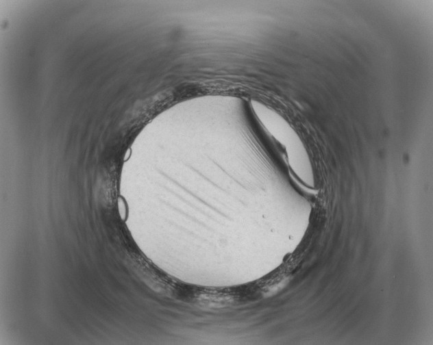 X0000086060515200704202104