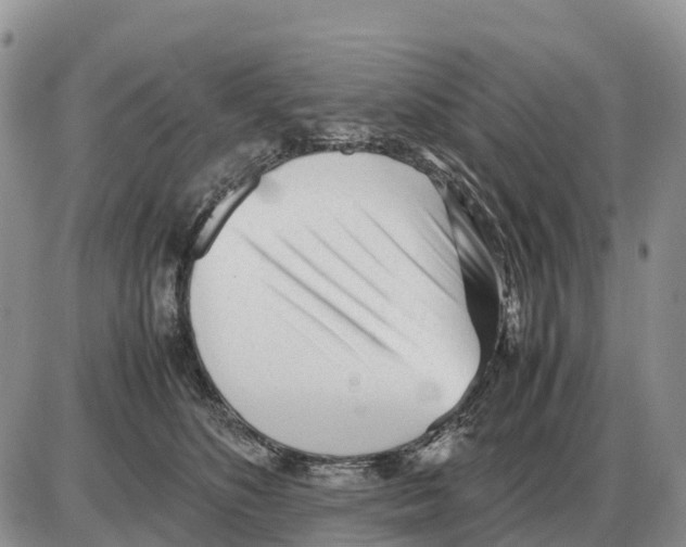 X0000086060516200704202104