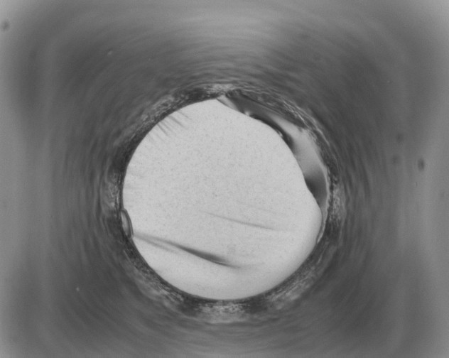 X0000086060517200704202104