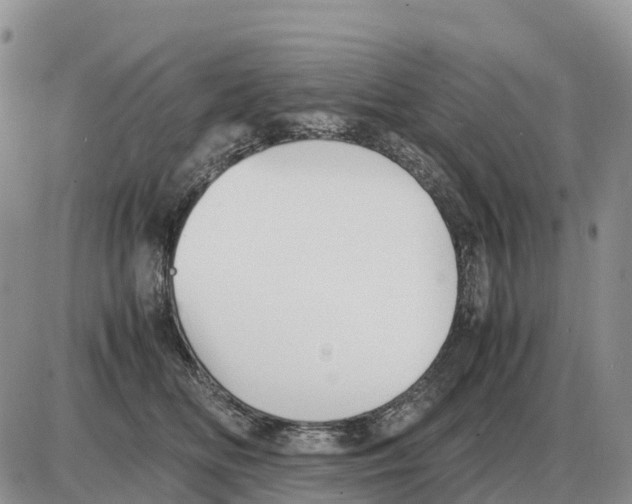 X0000086060518200704202104