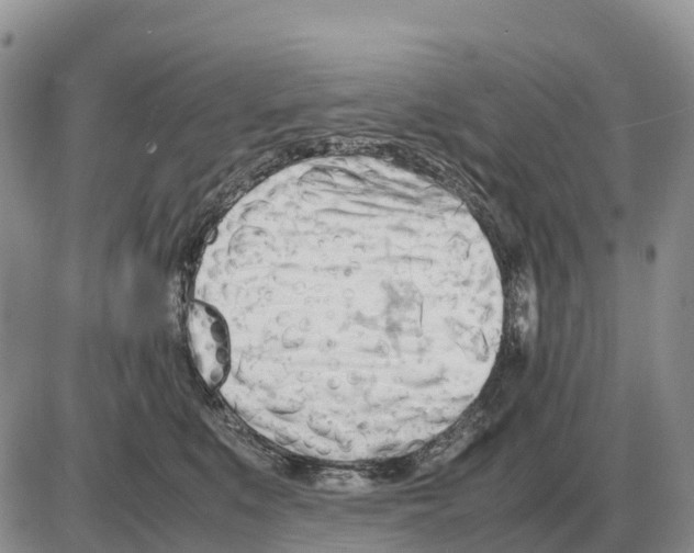 X0000086060519200704202104