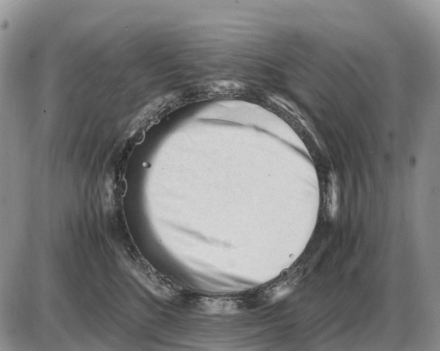 X0000086060520200704202104