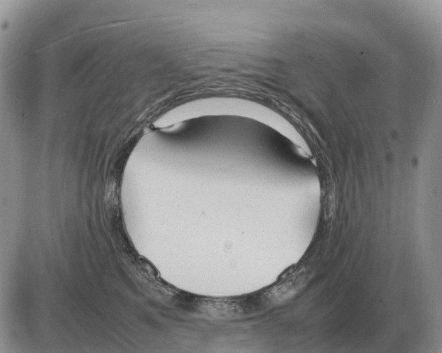 X0000086060521200704202104