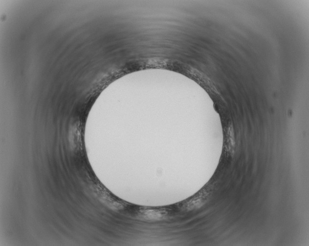 X0000086060522200704202104