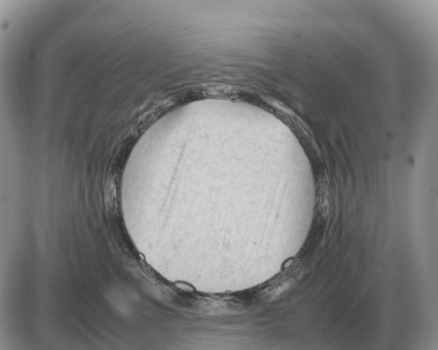 X0000086060523200704202104