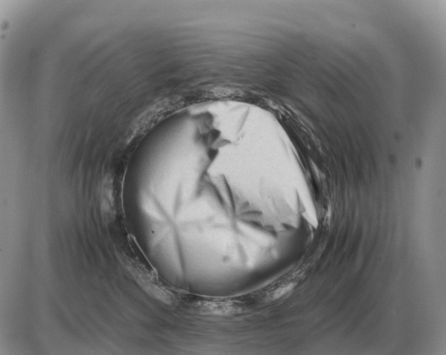 X0000086060524200704202104