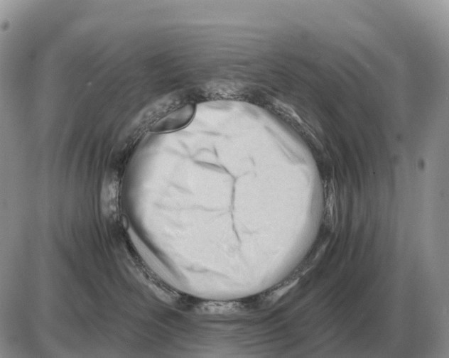 X0000086060526200704202104