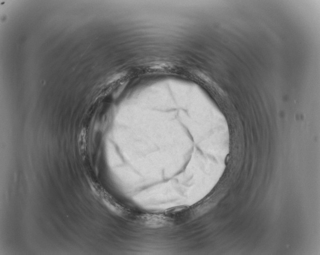 X0000086060528200704202104