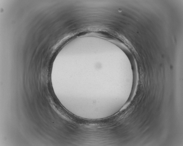 X0000086060530200704202103