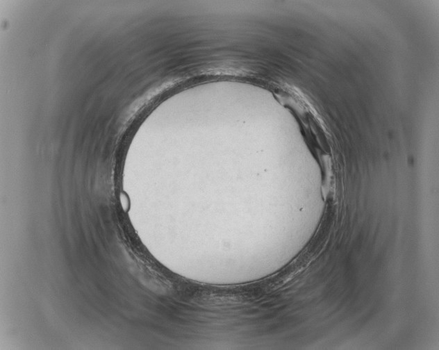 X0000086060531200704202103