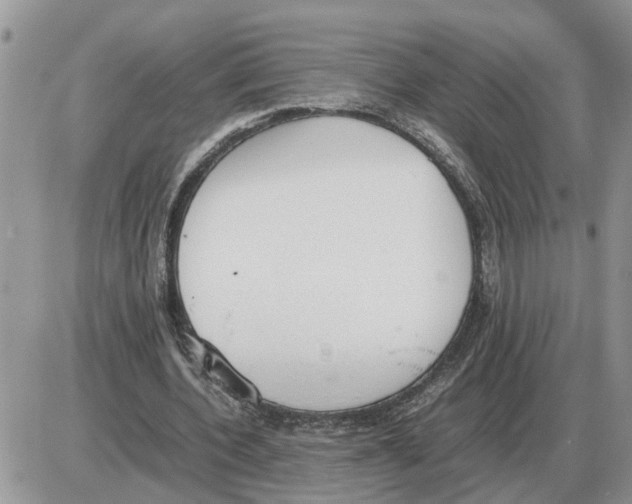 X0000086060532200704202103