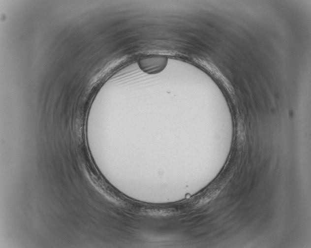 X0000086060533200704202103