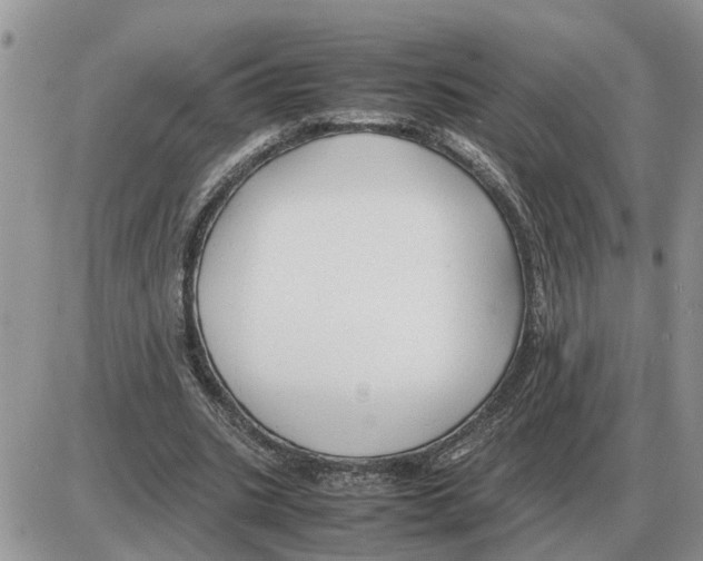 X0000086060535200704202103